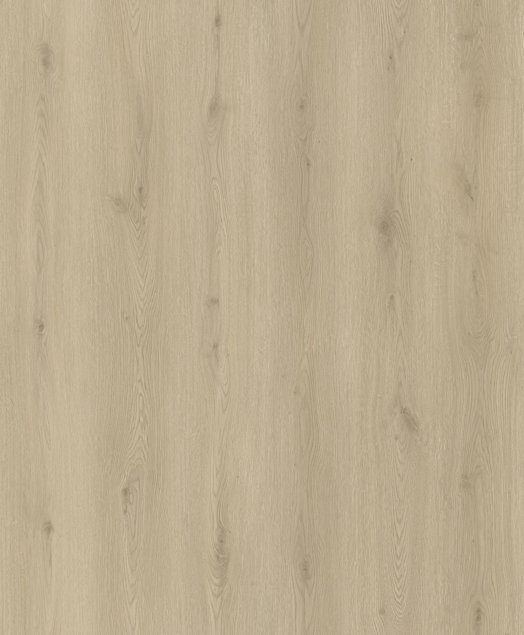 PK1506WP-Ivory Grain Oak