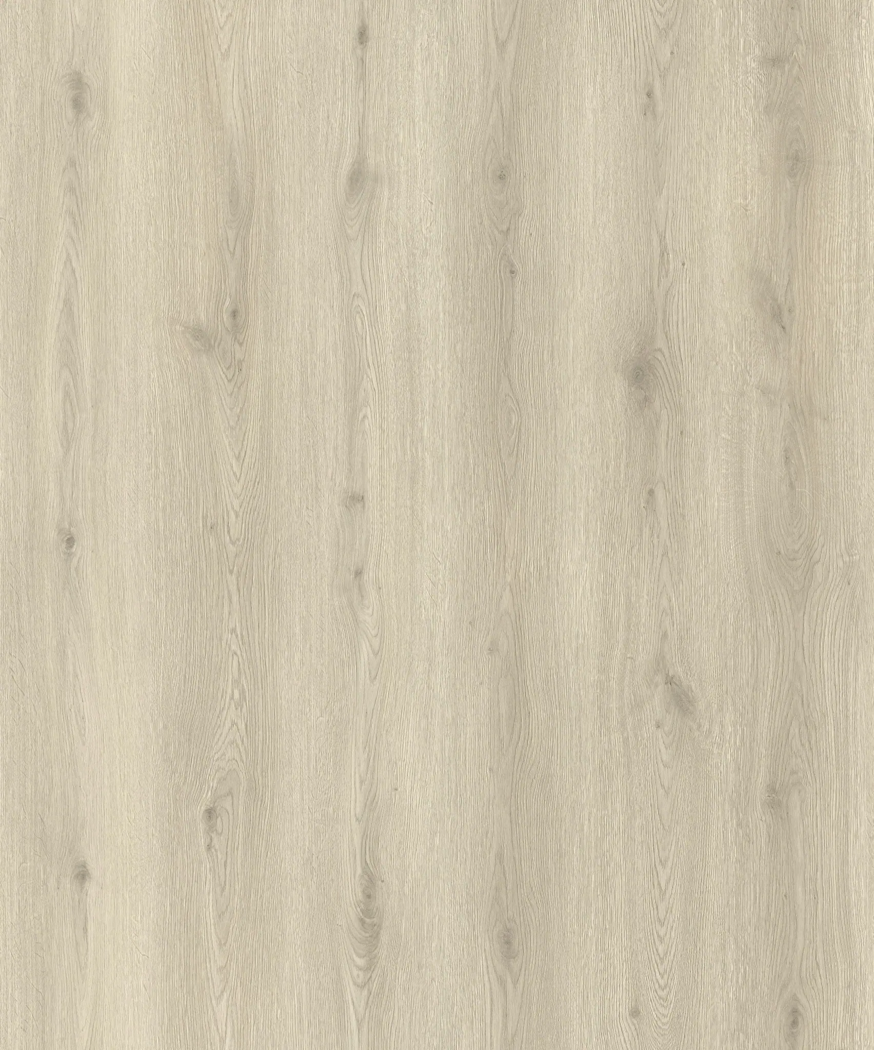 PK1507WP-Frosted Ash Oak