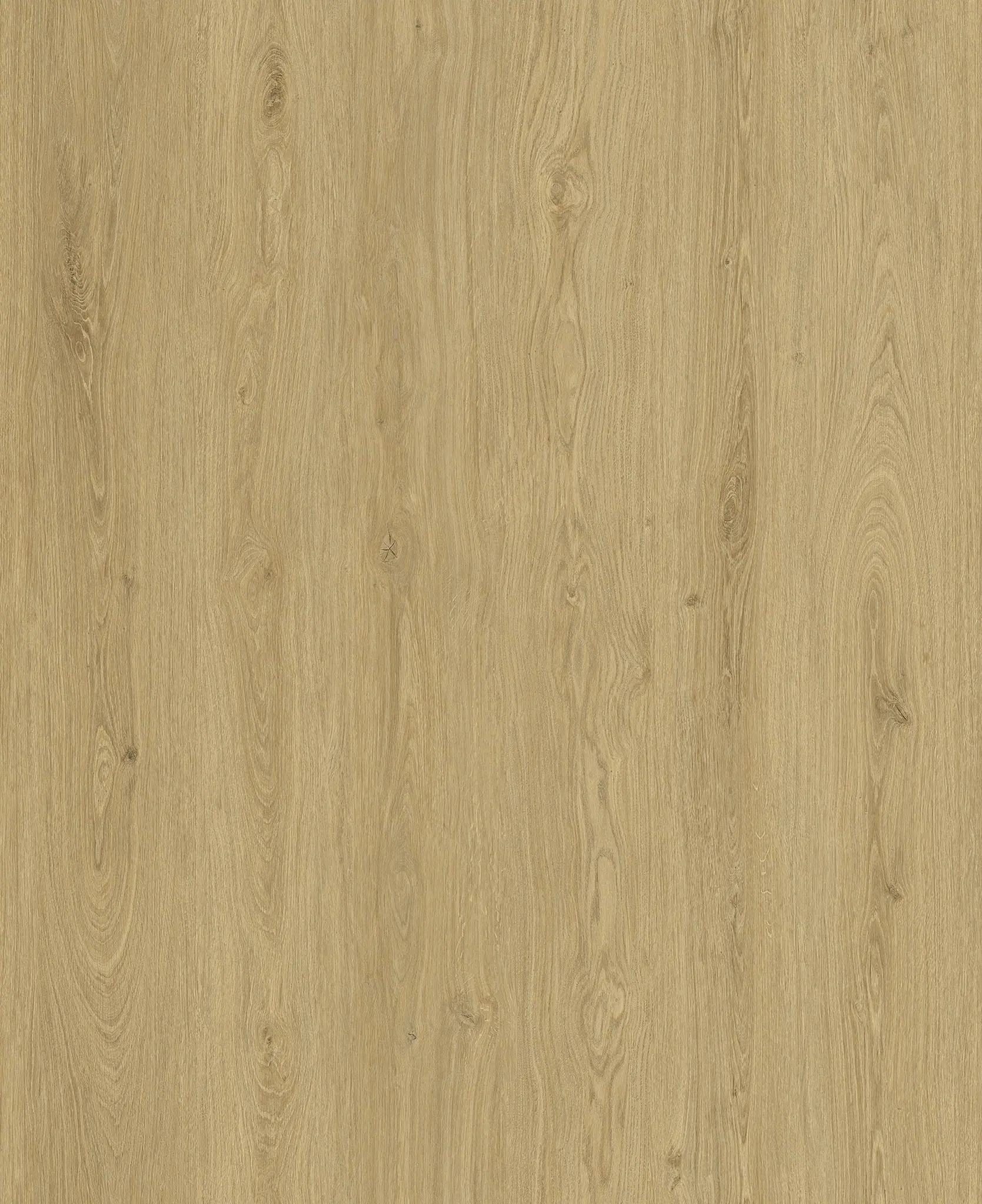 PK1508WP-Sandstone Oak