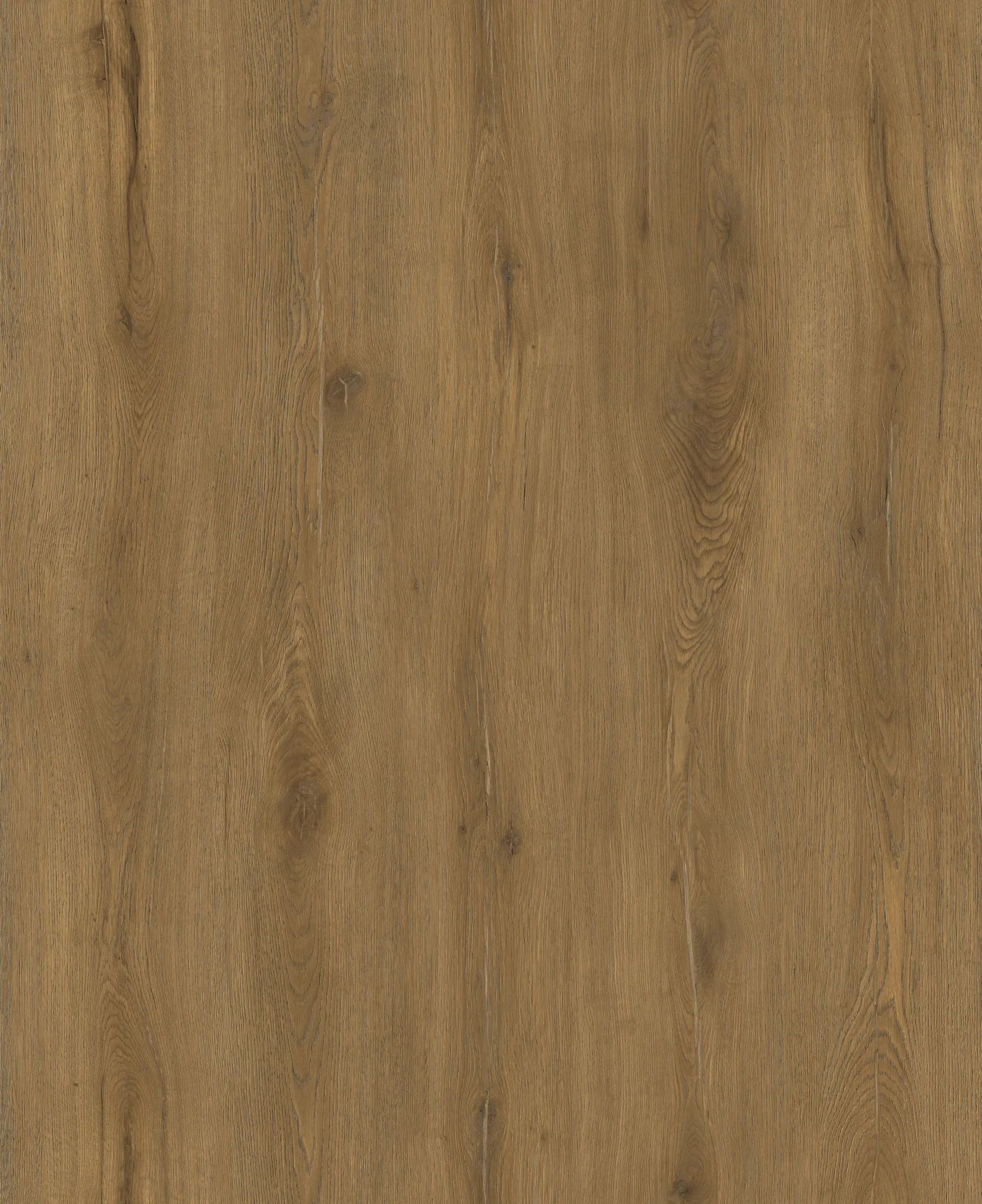 PK1509WP-Autumn Meadow Oak