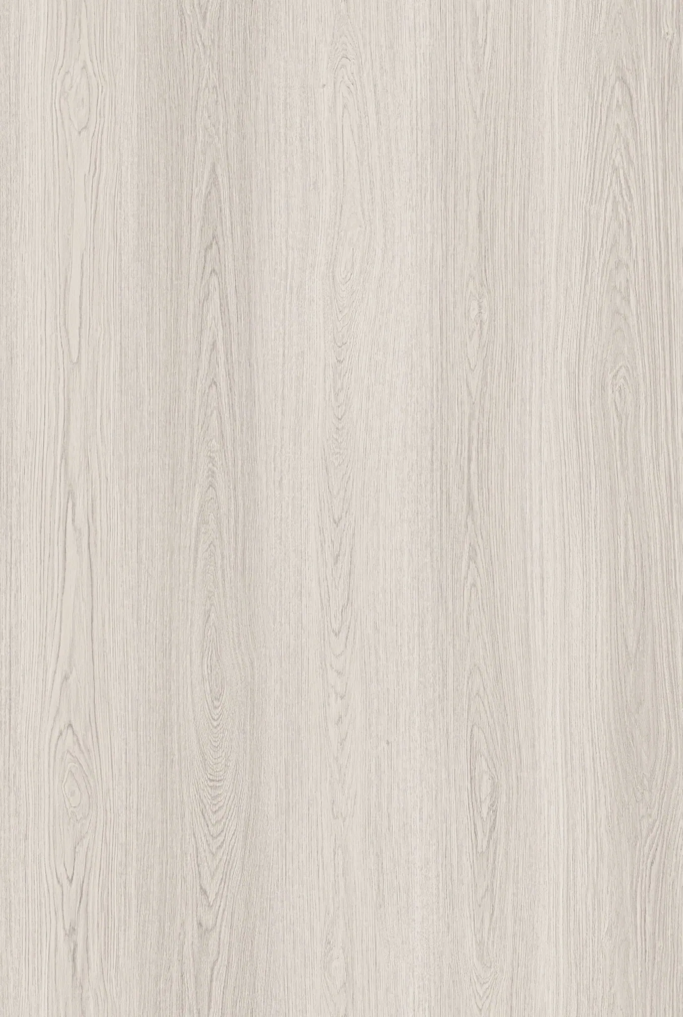 CLEARANCE!! PK1803WP-White Truffle Oak-28m2 left, $28+gst per m2