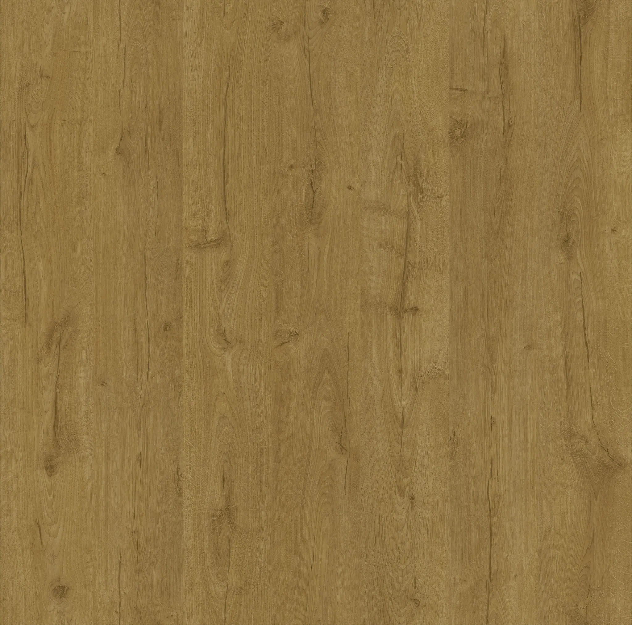 Dusk Oak